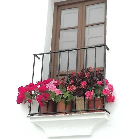 Guest house El Duende Del Tejar